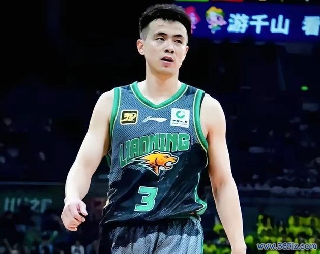 赵继伟12分8助辽宁击败深圳 邹雨宸17分10板北控力克同曦