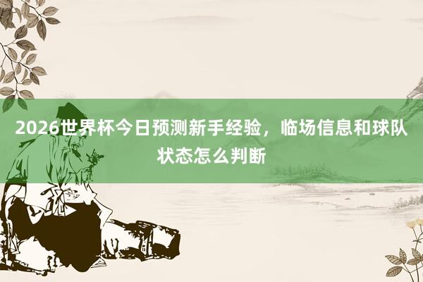 2026世界杯今日预测新手经验，临场信息和球队状态怎么判断