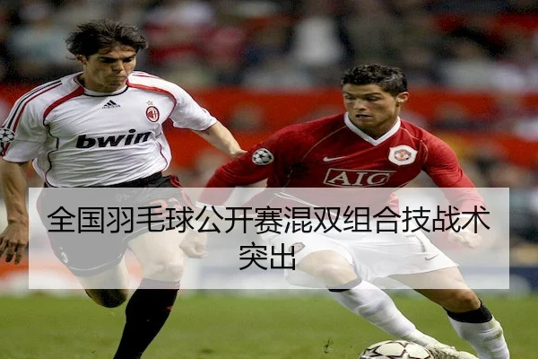 全国羽毛球公开赛混双组合技战术突出 - YABO