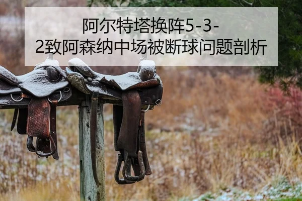 a-er-te-ta-huan-zhen-zhi-a-sen-na-zhong-chang-bei-duan-qiu-wen-ti-pou-xi-2-379.jpg